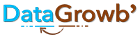 DataGrowb Logo